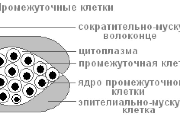 Кракен актуальная ссылка тор